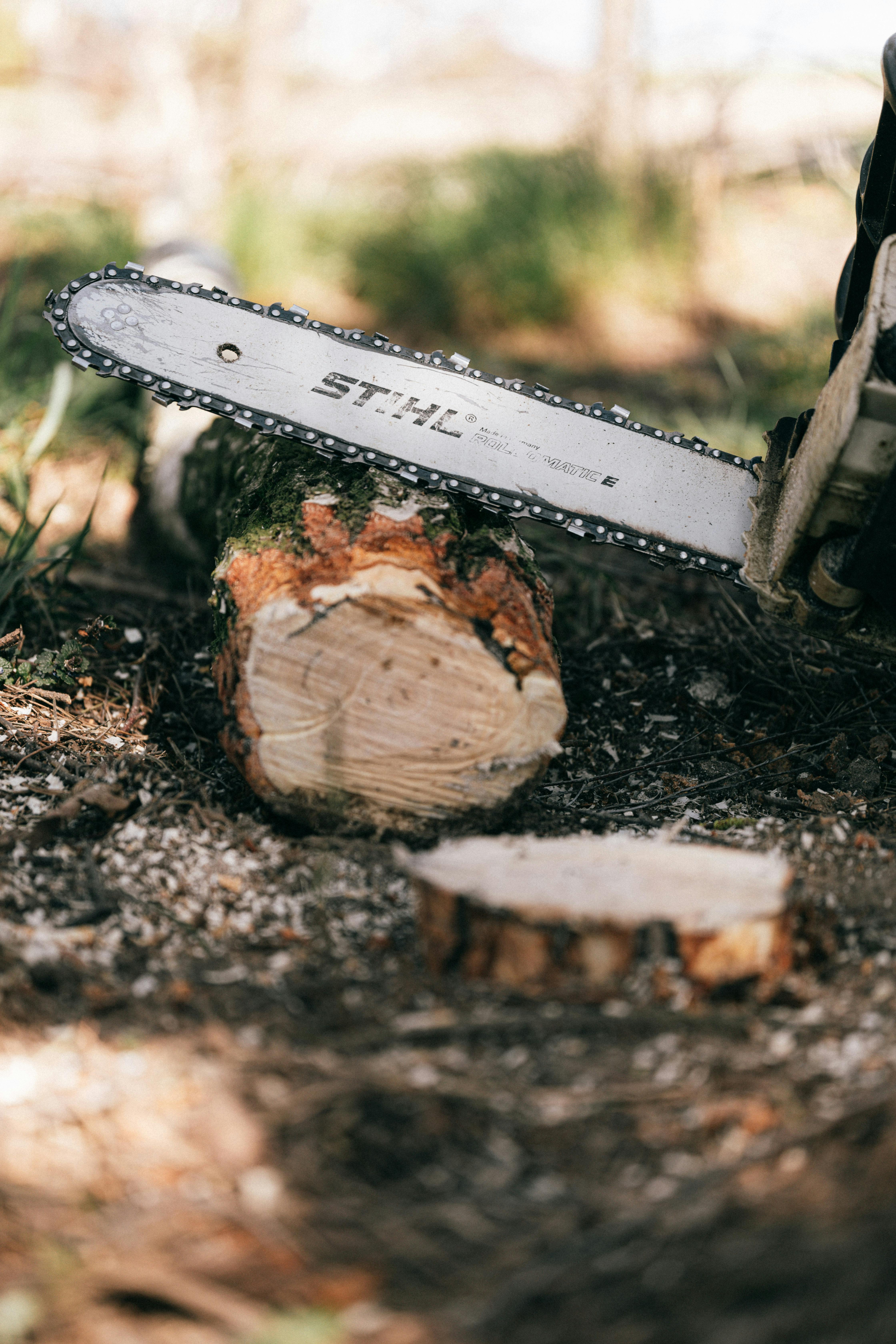 Stihl Akku Kettensäge im Gebrauch