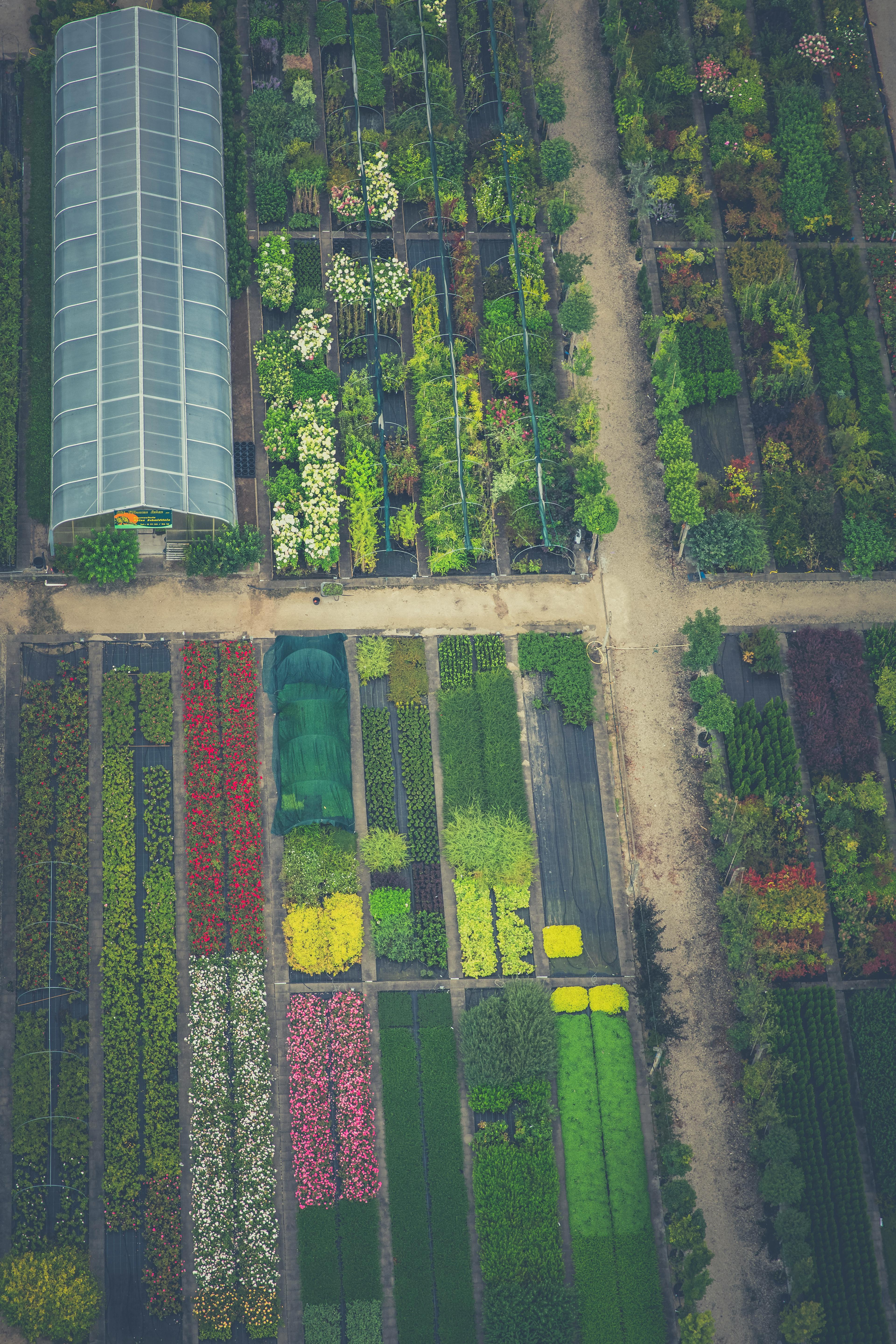 Gartenplanung Layout