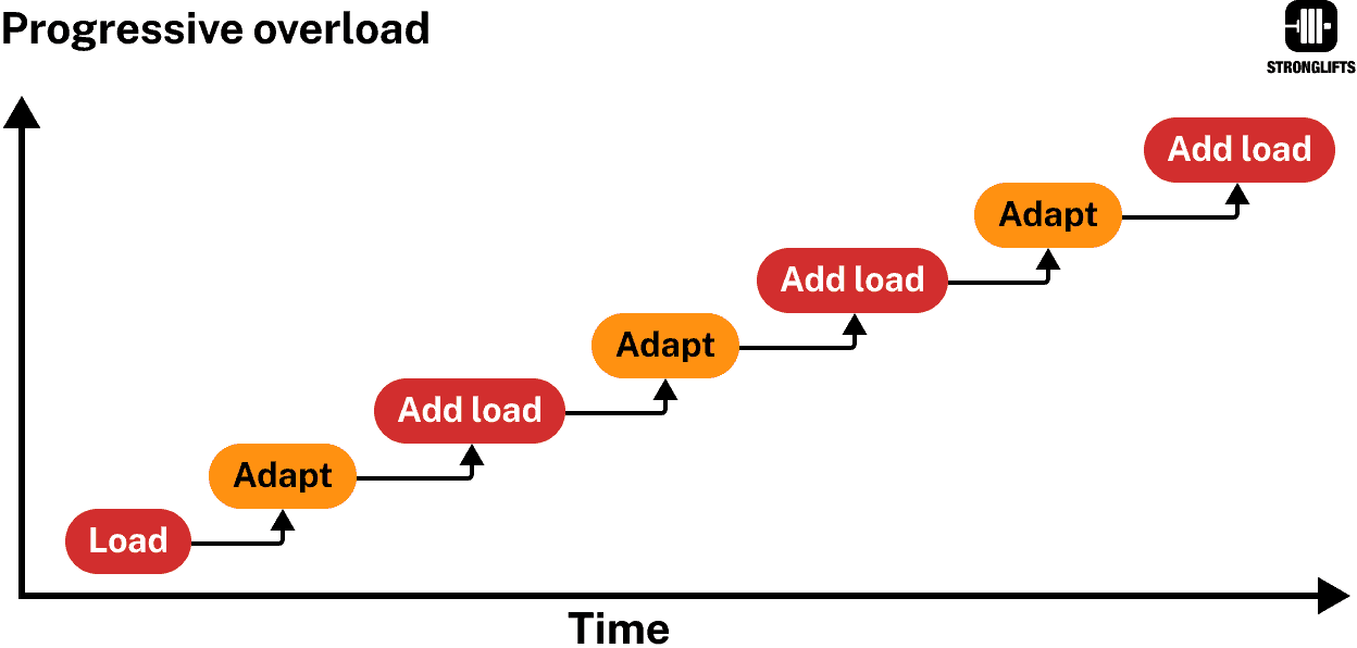 Progressive Überlastung Diagramm